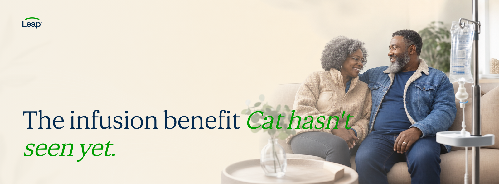 Cat email header 2